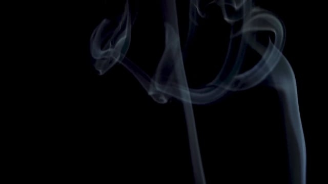 神秘, 雾, 恐惧, 万圣节, 黑暗的, 幻想, 低温冷害