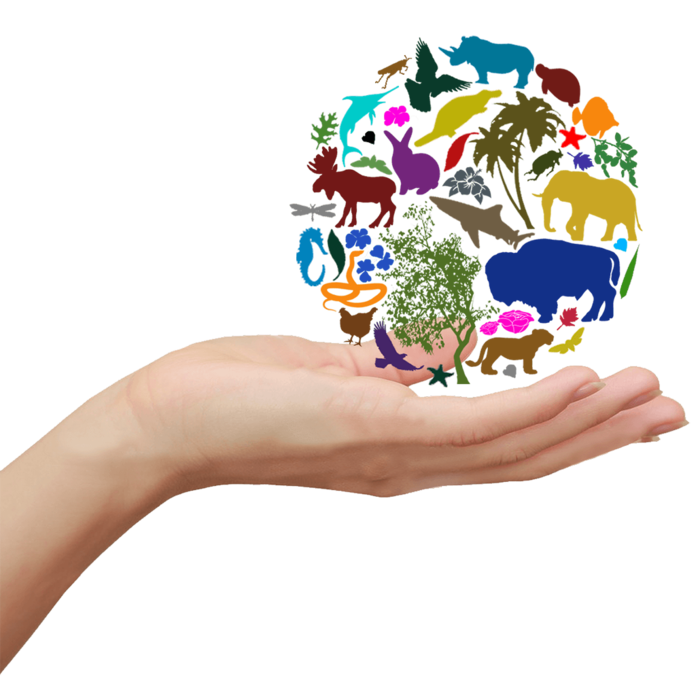 手托生态保护动物卡通地球一小时