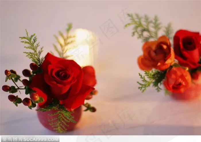 黄色灯光下的两盆玫瑰花