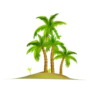 椰树棕榈树免抠