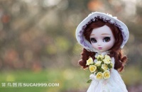 Doll 少女玩偶图片抱玫瑰花戴帽的女孩