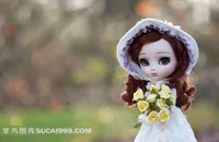 Doll 少女玩偶图片抱玫瑰花戴帽的女孩