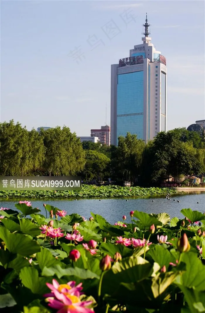 莲花池公园北京风景图片