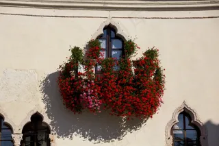 墙壁装饰花朵图片