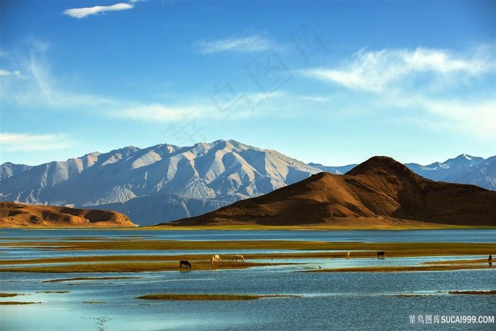 班公湖湿地风光