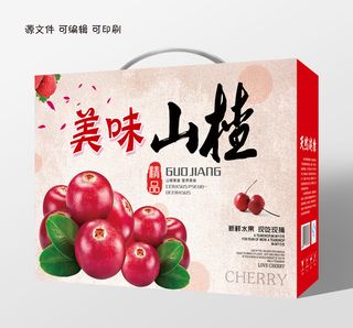 手提袋盒子美味山楂包装礼盒