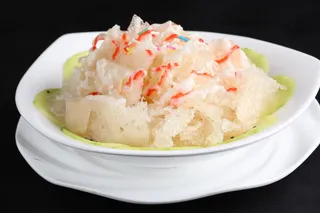 L00726南非色拉象皮肚 (1)