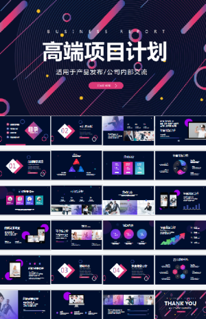高端项目产品发布公司介绍PPT模板预览图