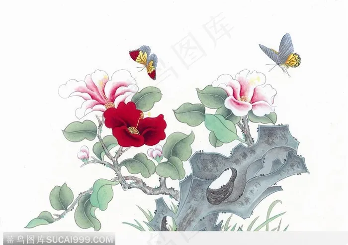 工笔画—茶花