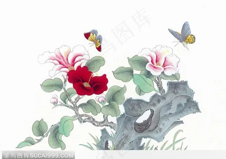 工笔画—茶花