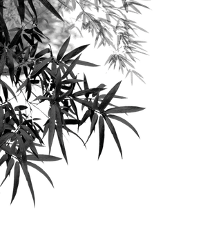 竹子水墨画中国风国画墨水书法竹子画