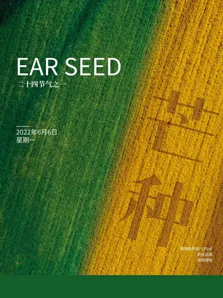 芒种 芒种活动物料