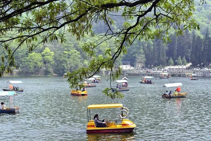 贵州黔灵山风景摄影图