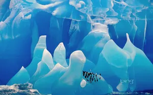 冰天雪地 