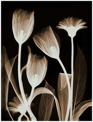 装饰画|客厅|海报画|电表箱装饰画|挂画