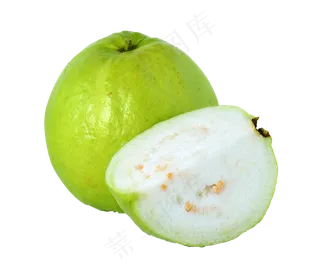 番石榴免抠素材 (11)