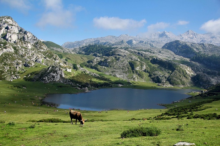 冬天山水背景风景