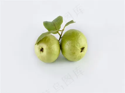 高清新鲜芭乐果 高清新鲜芭乐果