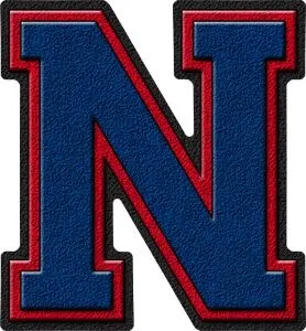 字母N PNG免抠(278x300)