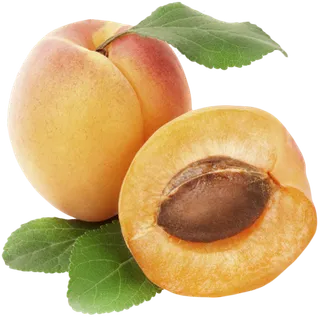 水果杏 红杏 黄杏 大杏 免抠图 