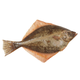 鱼类(23)海鲜超市商品红酒白底图免抠实物摄影png格式图片透明底