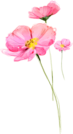 38妇女节三八女神女王粉色花朵玫瑰艺术字设计png免抠ps素材