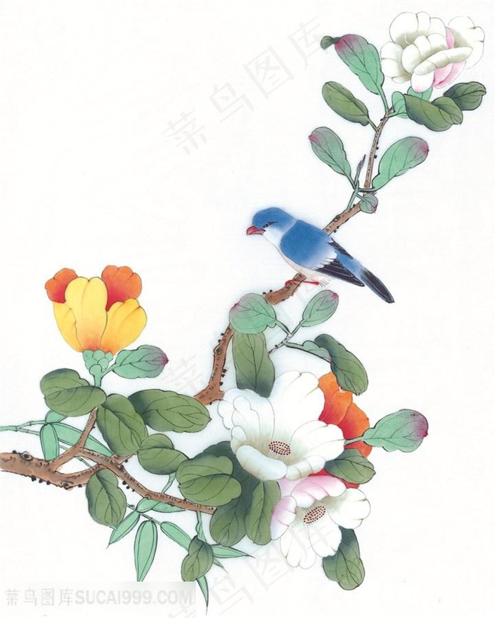 花鸟花卉树枝装饰画