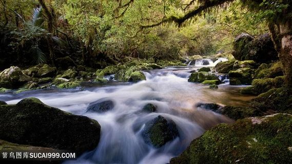 河流唯美风景画壁纸