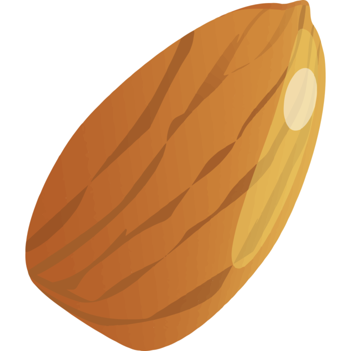 杏仁简笔画