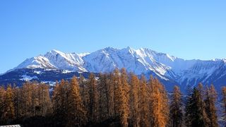 冬天自然背景风景