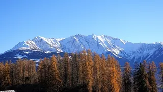 冬天自然背景风景