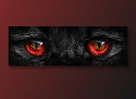 小猫眼睛摄影素材