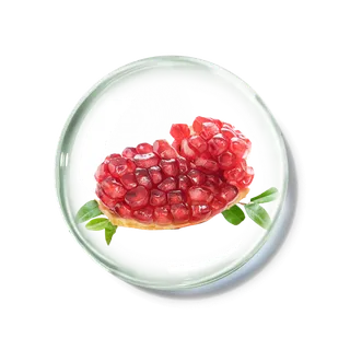 化妆品产品成分—石榴 免抠图