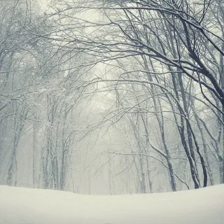 图片设计素材背景炫光背景