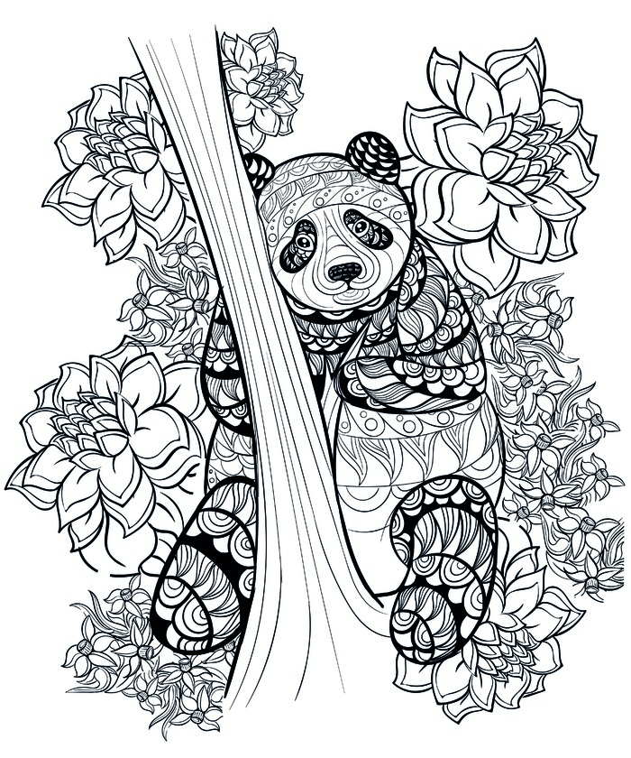 卡通手绘熊猫黑白线描线稿