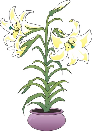 卡通动漫动画百合花鲜花海报名片免扣图片素材矢量图