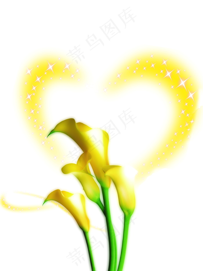 黄色马蹄莲图片