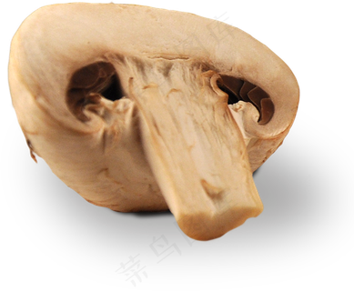 36食材|厨房|食品|百货|美食|免扣