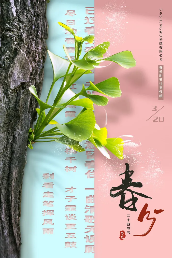 春分二十四节气传统中国风插画高清活动海报展板PSD模板素材psd模版下载