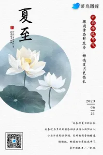 夏至节气荷花荷叶简约海报