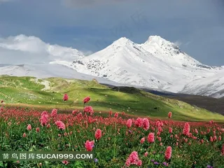 草原上的雪山图片素材
