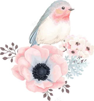 可爱的鸟语花香