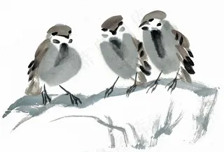 画鸟绘画摄影图片