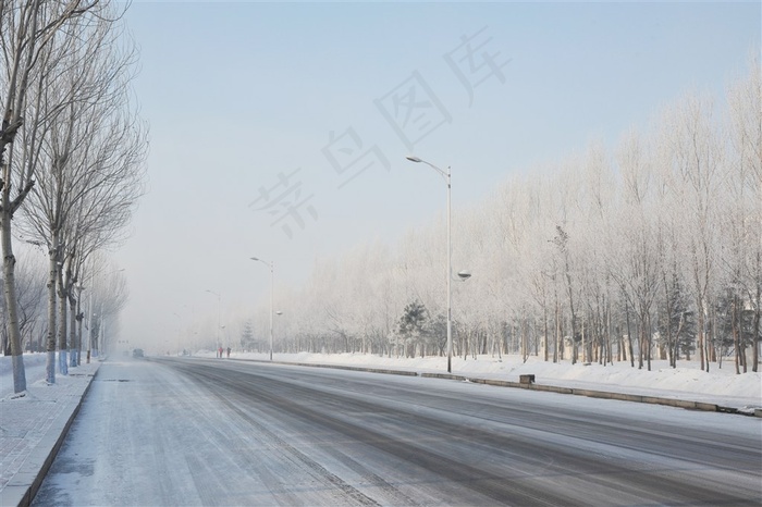 东北树挂雪景