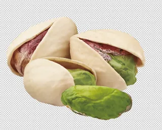 开心果免扣素材