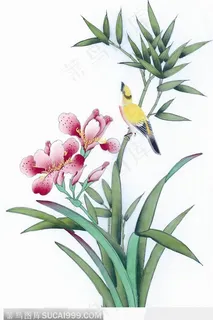 工笔画—兰花 工笔画—兰花