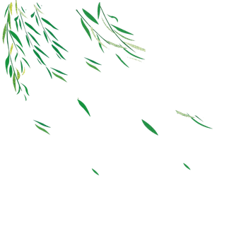 春天绿色春季水墨柳树柳条柳叶春季海报设计PNG免扣素材 春天绿色春季水墨柳树柳条柳叶春季海报设计PNG免扣素材