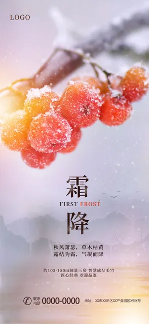 中国传统节日24节气二十四节气实拍摄影霜降手机宣传海报节日