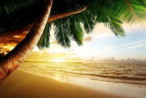 唯美的沙滩椰树风景素材