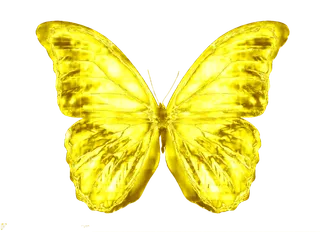 蝴蝶金色蝴蝶免抠图